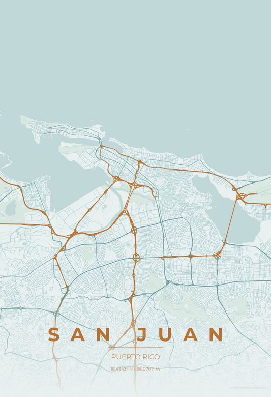 San Juan — Copper Patina Map Print